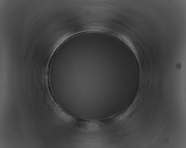 X0000091680899200708301517