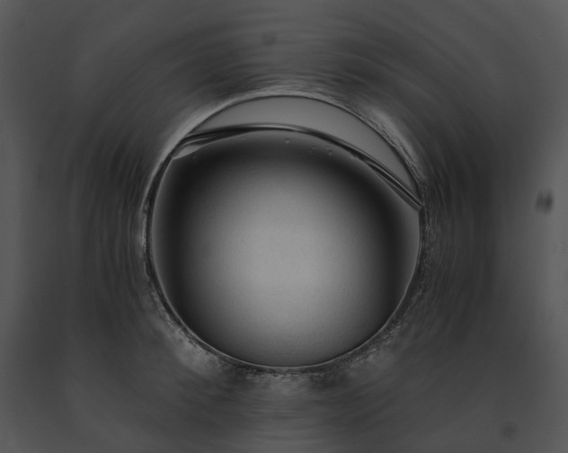 X0000091680900200708301517