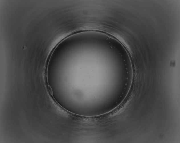 X0000091680901200708301517