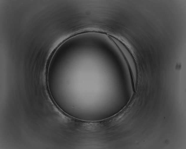 X0000091680902200708301517