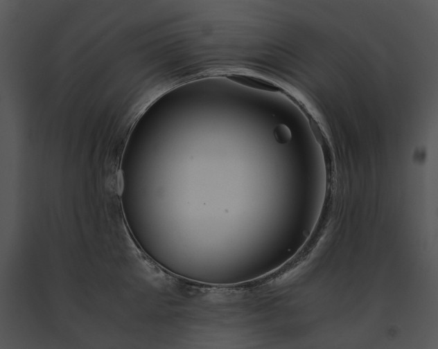 X0000091680905200708301517