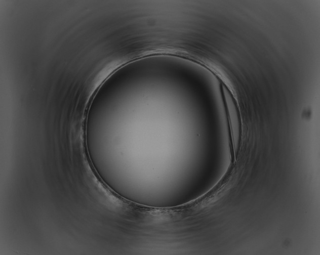 X0000091680906200708301517