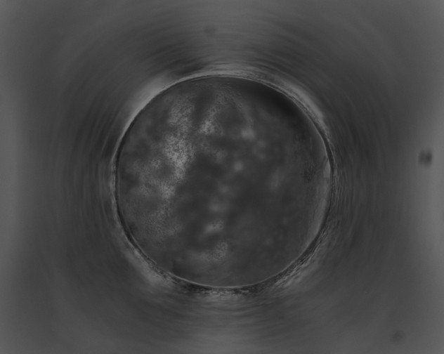 X0000091680907200708301517