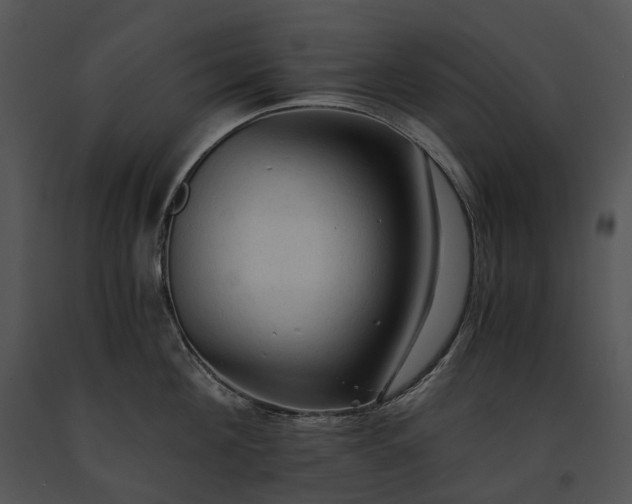 X0000091680908200708301517