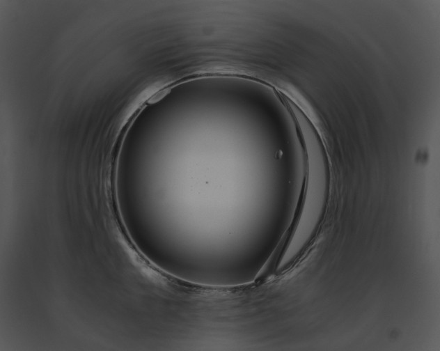 X0000091680909200708301517