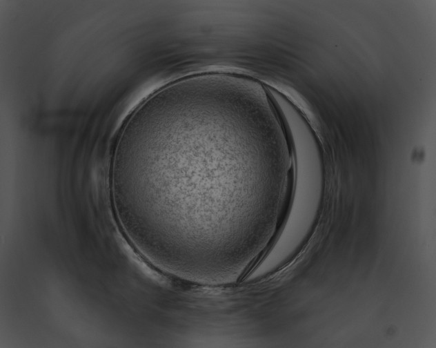 X0000091680910200708301517