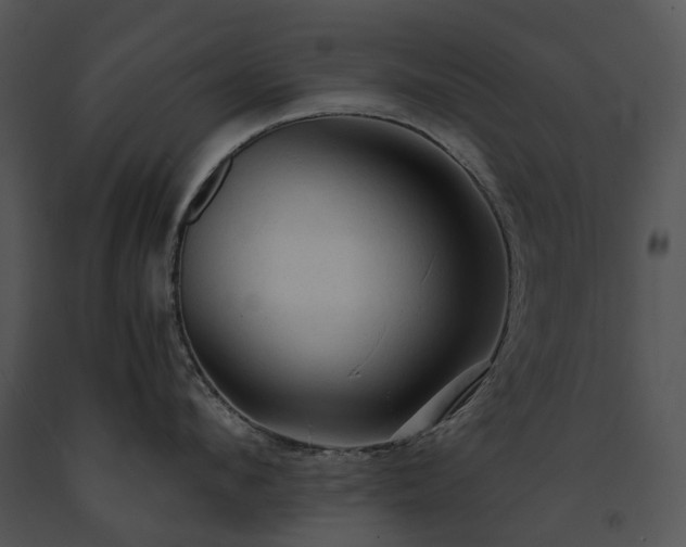 X0000091680912200708301517