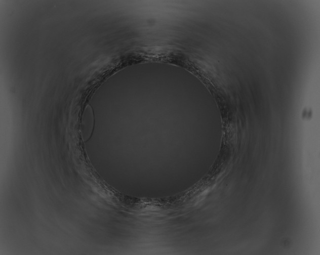 X0000091680913200708301517