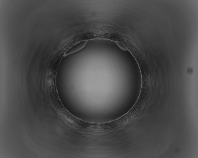 X0000091680914200708301517