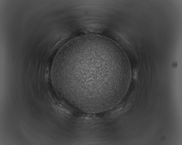 X0000091680915200708301517