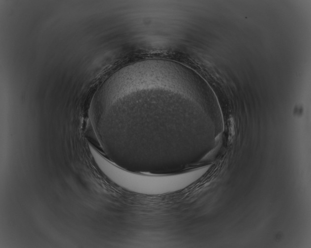 X0000091680916200708301517