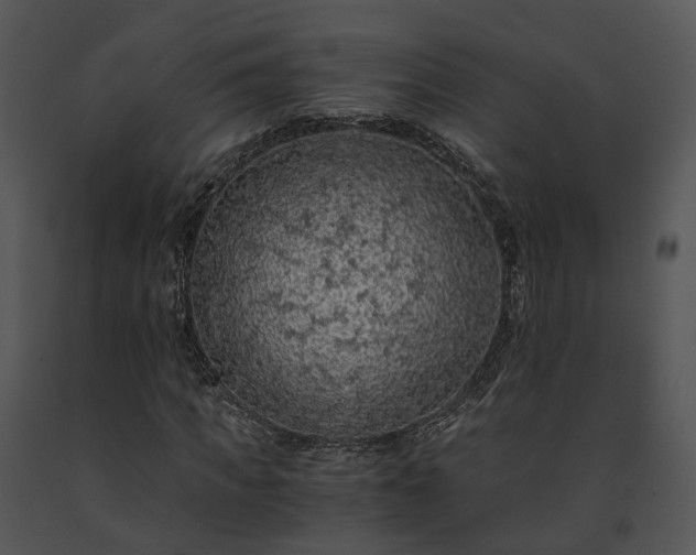 X0000091680917200708301517