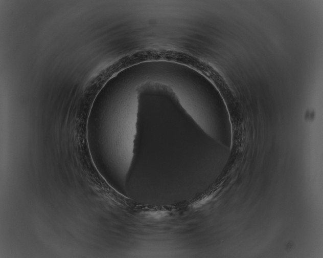 X0000091680919200708301517
