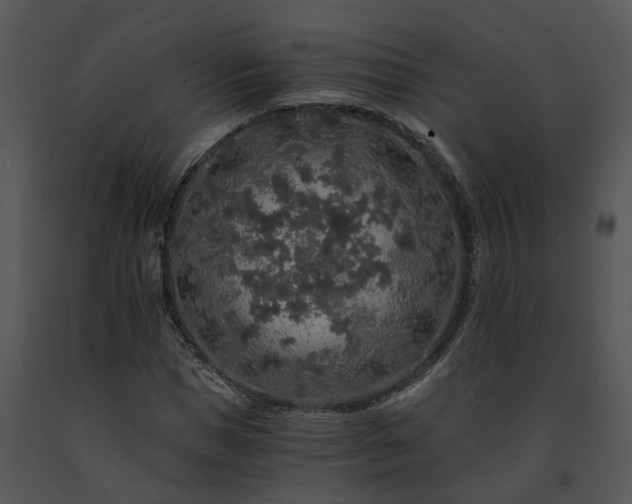 X0000091680921200708301517