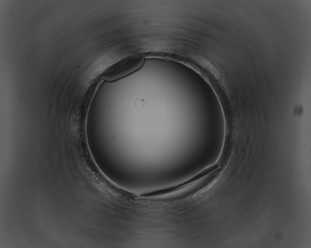 X0000091680922200708301517