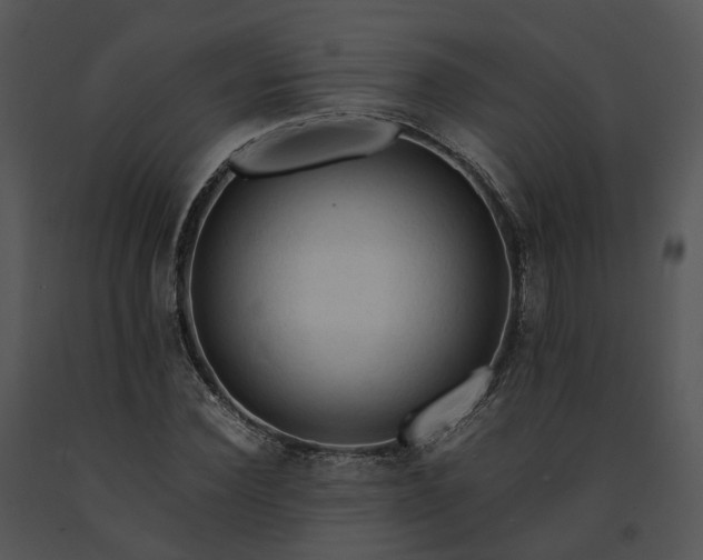 X0000091680924200708301517