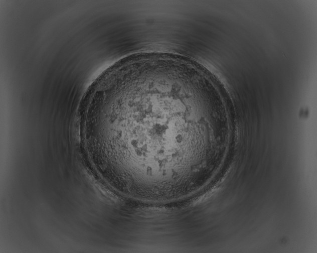 X0000091680925200708301517