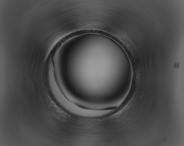 X0000091680926200708301517