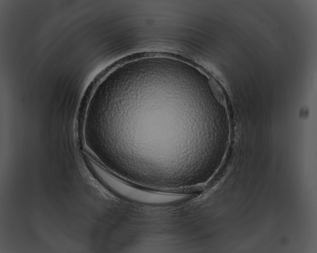 X0000091680928200708301517