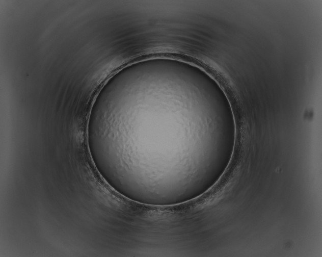 X0000091680929200708301517