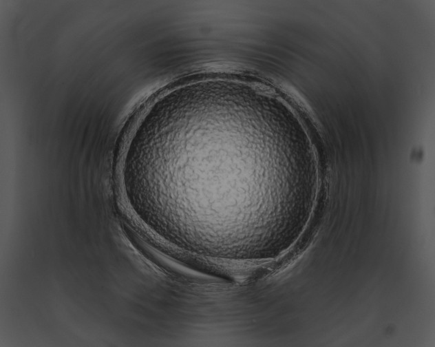 X0000091680930200708301517