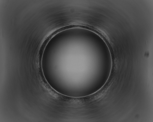 X0000091680931200708301517