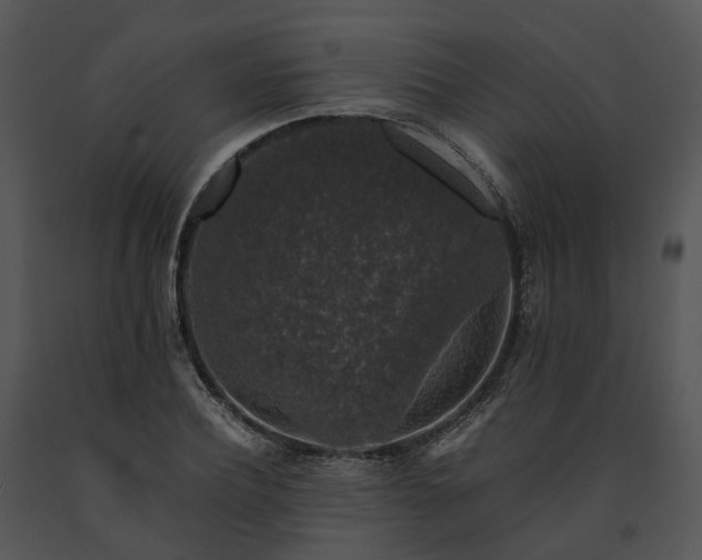 X0000091680932200708301517