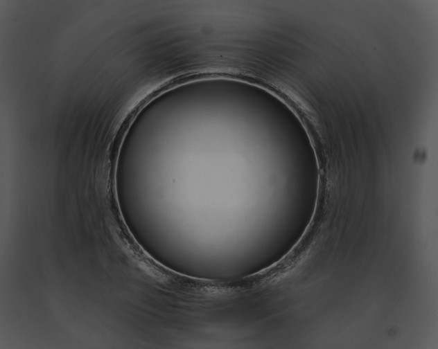 X0000091680933200708301517