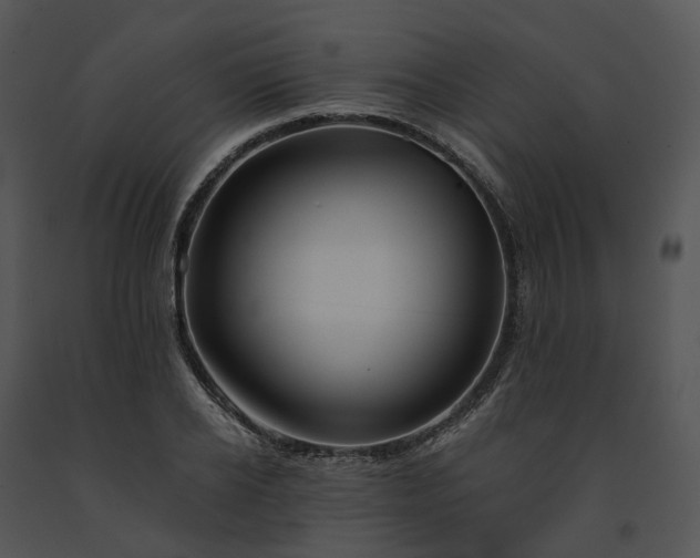 X0000091680934200708301517