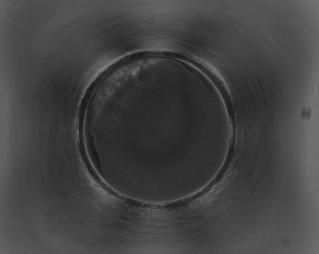 X0000091680935200708301517