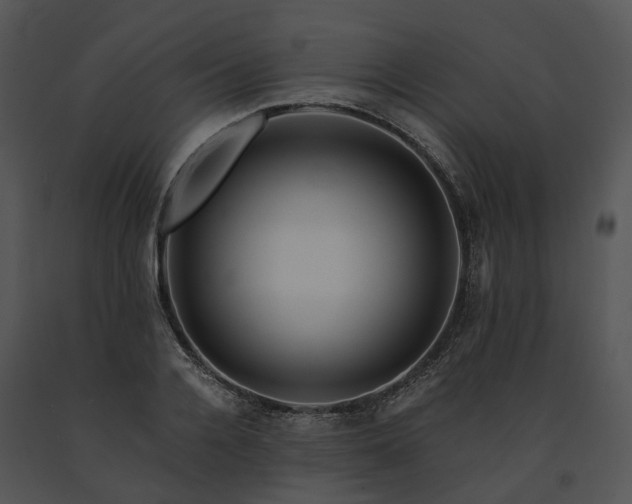 X0000091680936200708301517