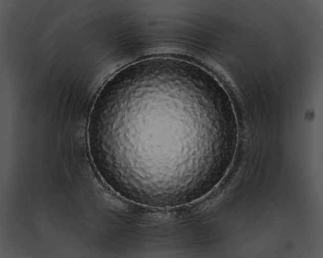 X0000091680937200708301517