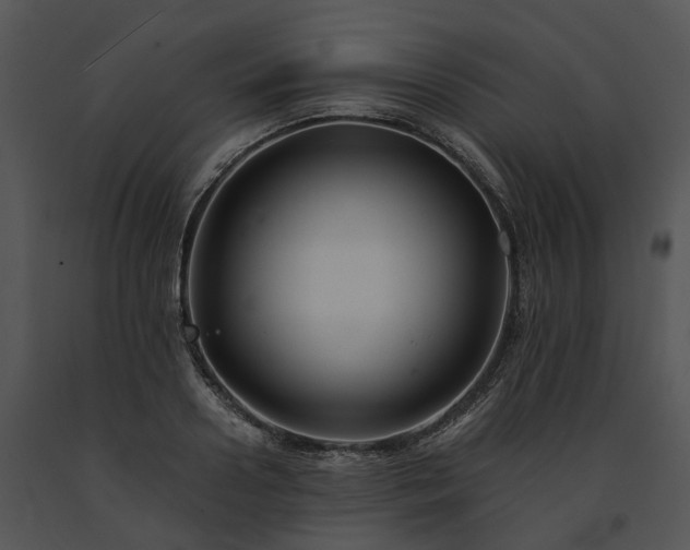 X0000091680938200708301517