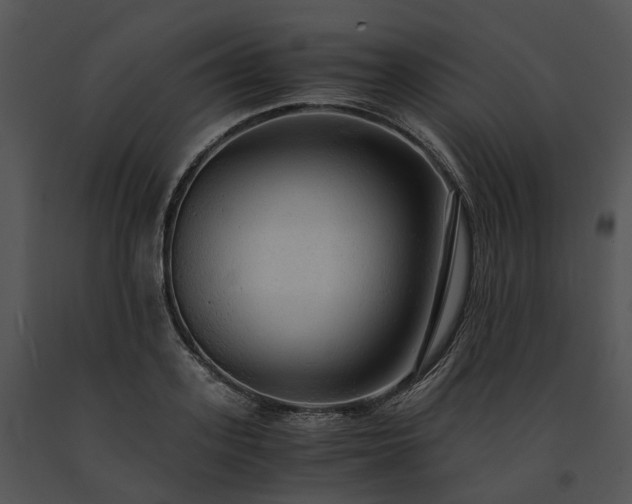 X0000091680939200708301517