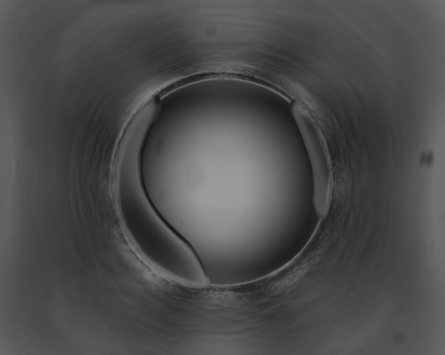X0000091680940200708301517