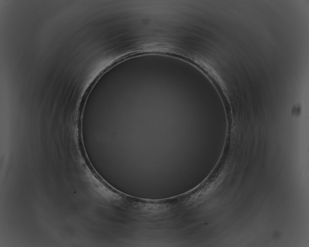 X0000091680941200708301517