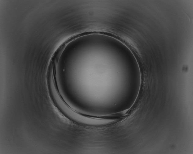 X0000091680942200708301517