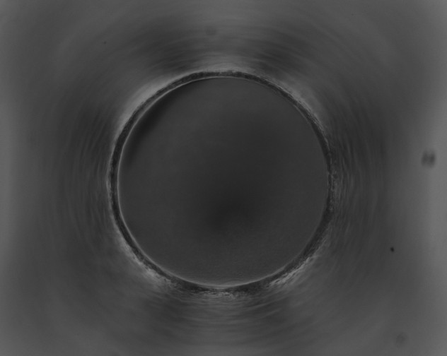 X0000091680943200708301517