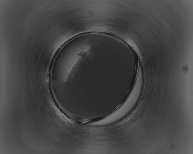 X0000091680944200708301517