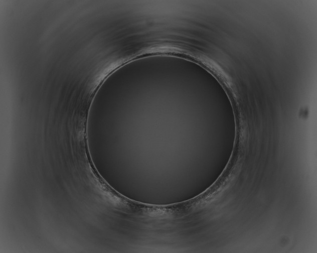 X0000091680945200708301517