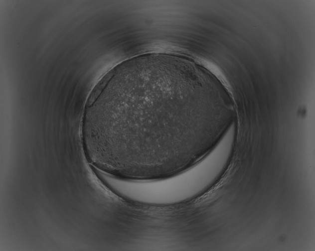 X0000091680946200708301517