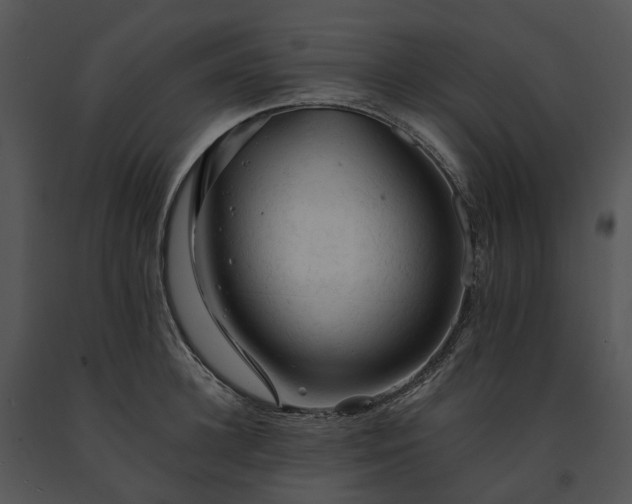 X0000091680948200708301517