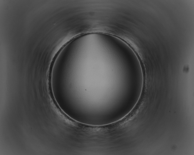 X0000091680949200708301517