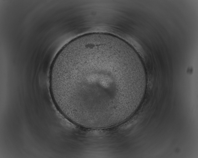 X0000091680950200708301517