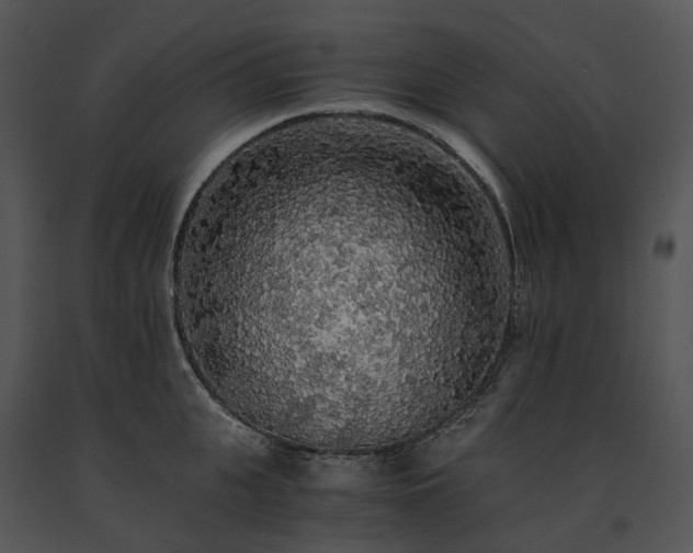 X0000091680951200708301517