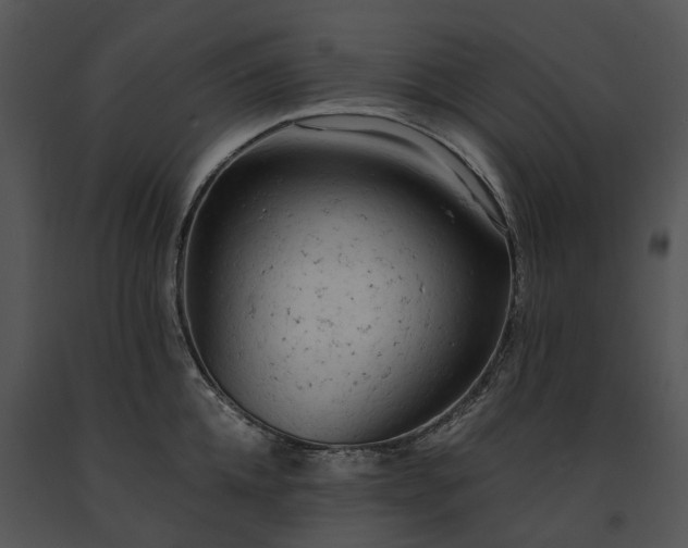 X0000091680952200708301517