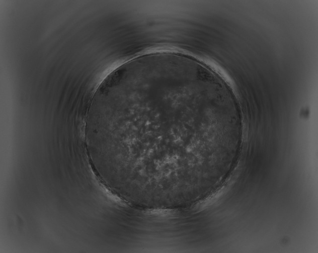 X0000091680953200708301517