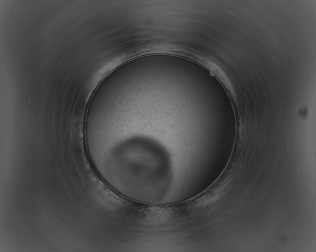 X0000091680954200708301517