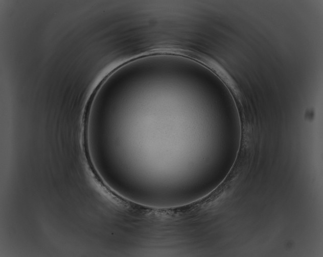 X0000091680955200708301517