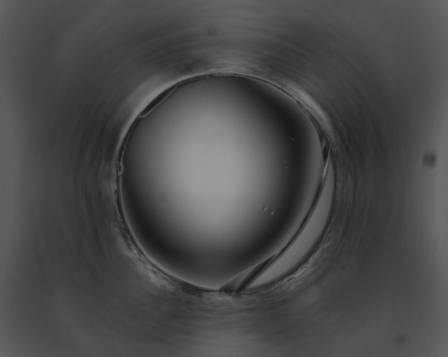 X0000091680956200708301517